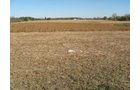 Property photo 28 - 110+/- Acres offered in 4 Tillable Tracts
